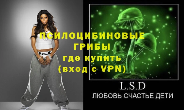 шишки Алексин