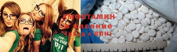 шишки Алексин
