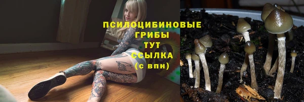 стафф Абаза