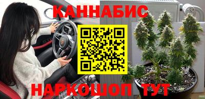 крисы Пыть-Ях