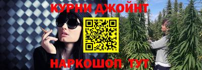 крисы Пыть-Ях