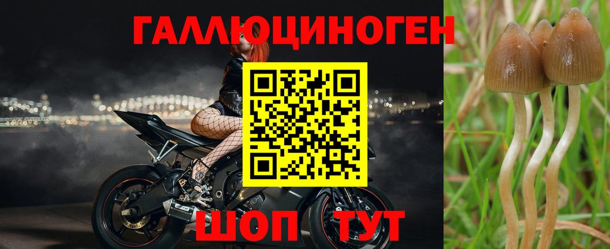 Тихорецк  Галлюциногенные грибы ЛСД  Галлюциногенные грибы мухоморы  Вход с VPN 