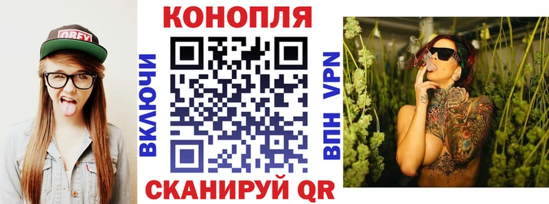 Шишки марихуана семена  Тихорецк 
