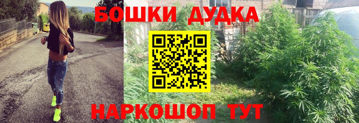 Бошки Шишки гибрид Тихорецк